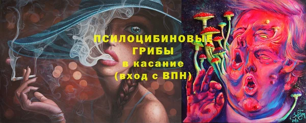 прущая мука Кинешма