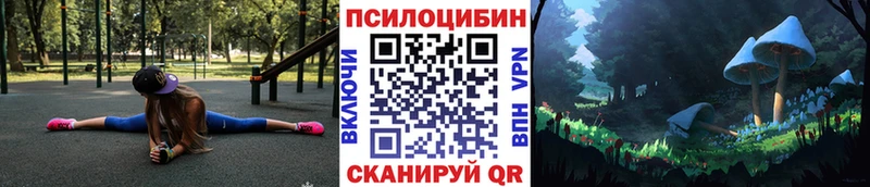 Купить где  Вилюйск  Галлюциногенные грибы Psilocybine cubensis 